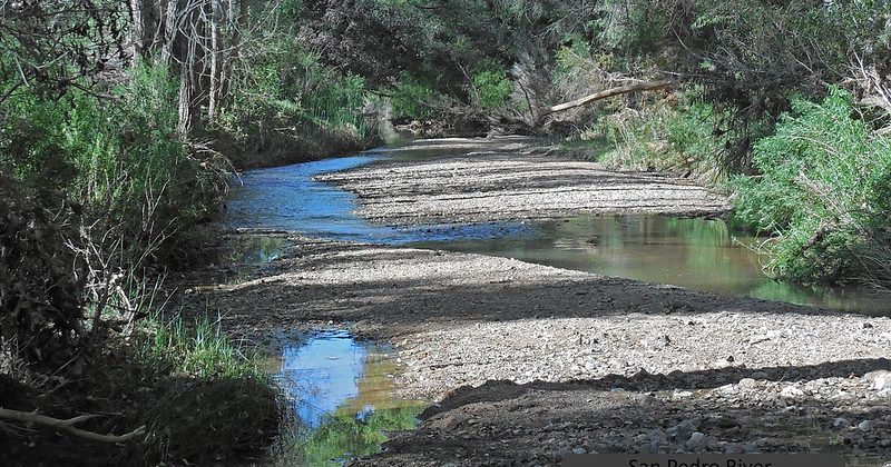 The San Pedro River: What Comes After Quantification? 