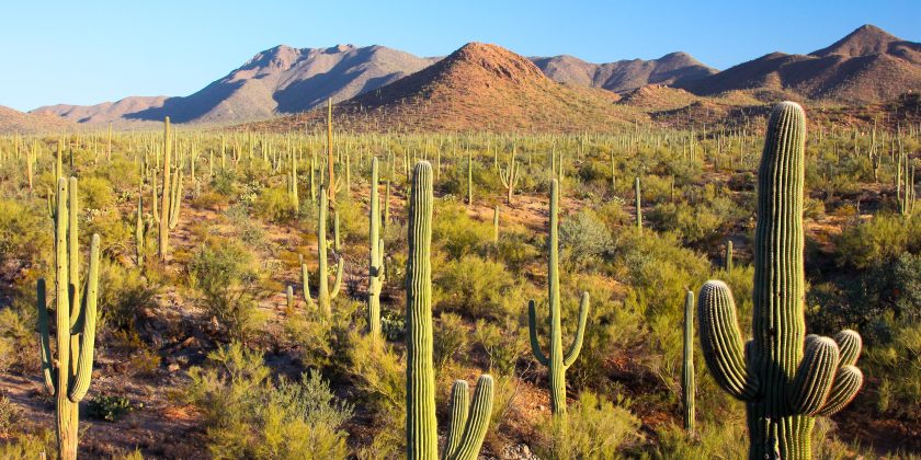 Arizona’s Alternative Business Structures: Innovation Meets Neighboring Resistance