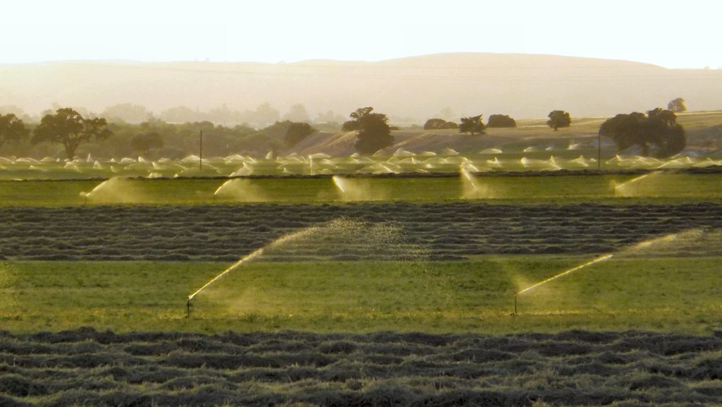 The Fight over Alfalfa: Regulation of Groundwater Usage