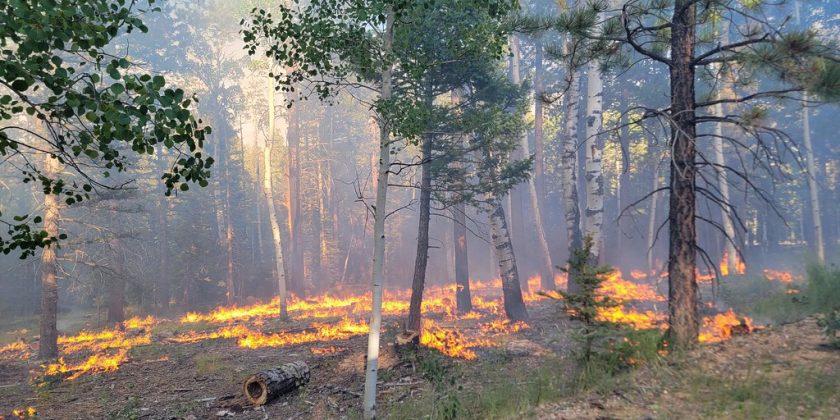 The Laws of Fire in the Burning West