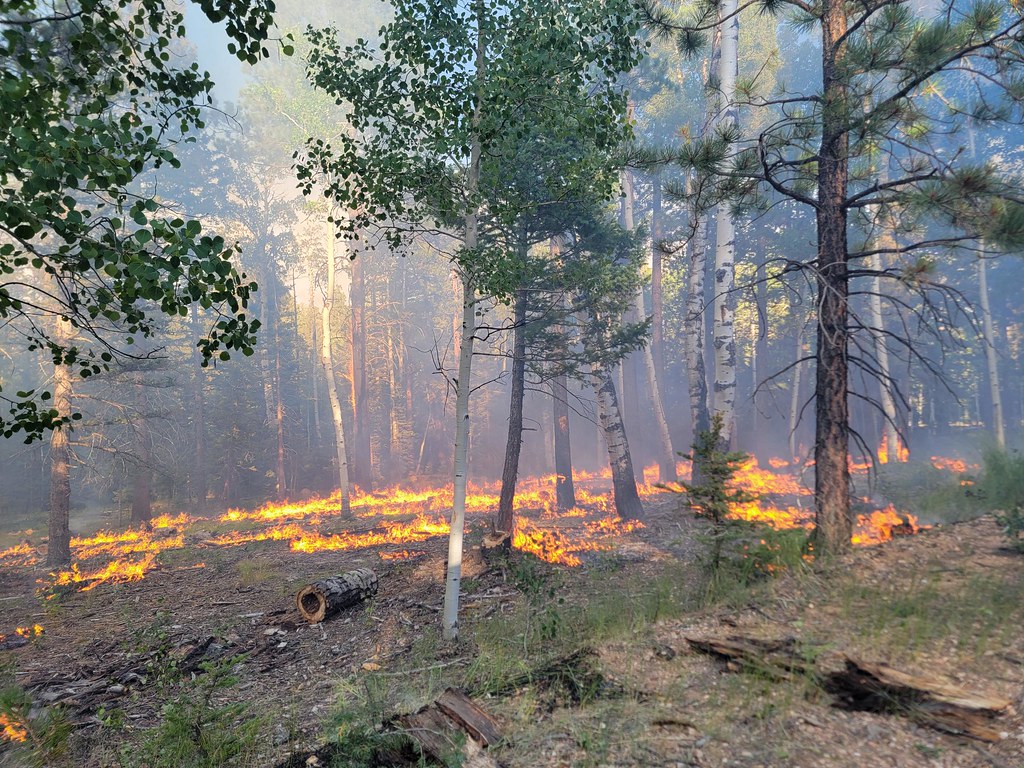 The Laws of Fire in the Burning West