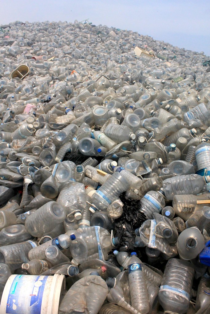 Arizona v. Reynolds Consumer Products, Inc: A Piece of the National Greenwashing Puzzle